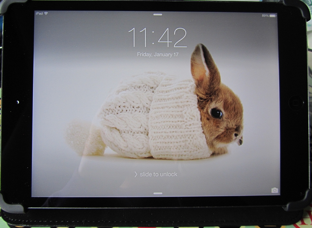 [48+] iPad Mini Retina Wallpaper Size WallpaperSafari