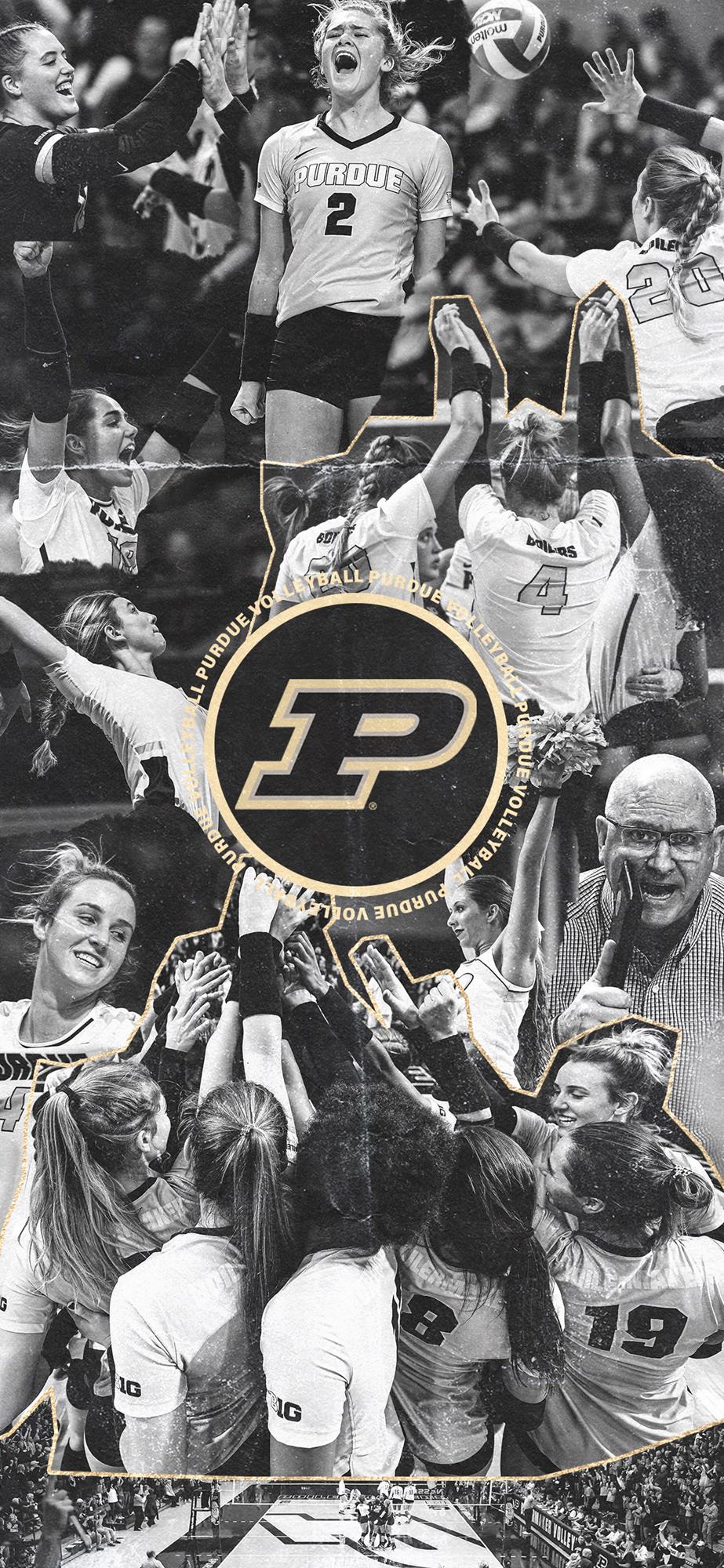 Digital S Purdue University Athletics