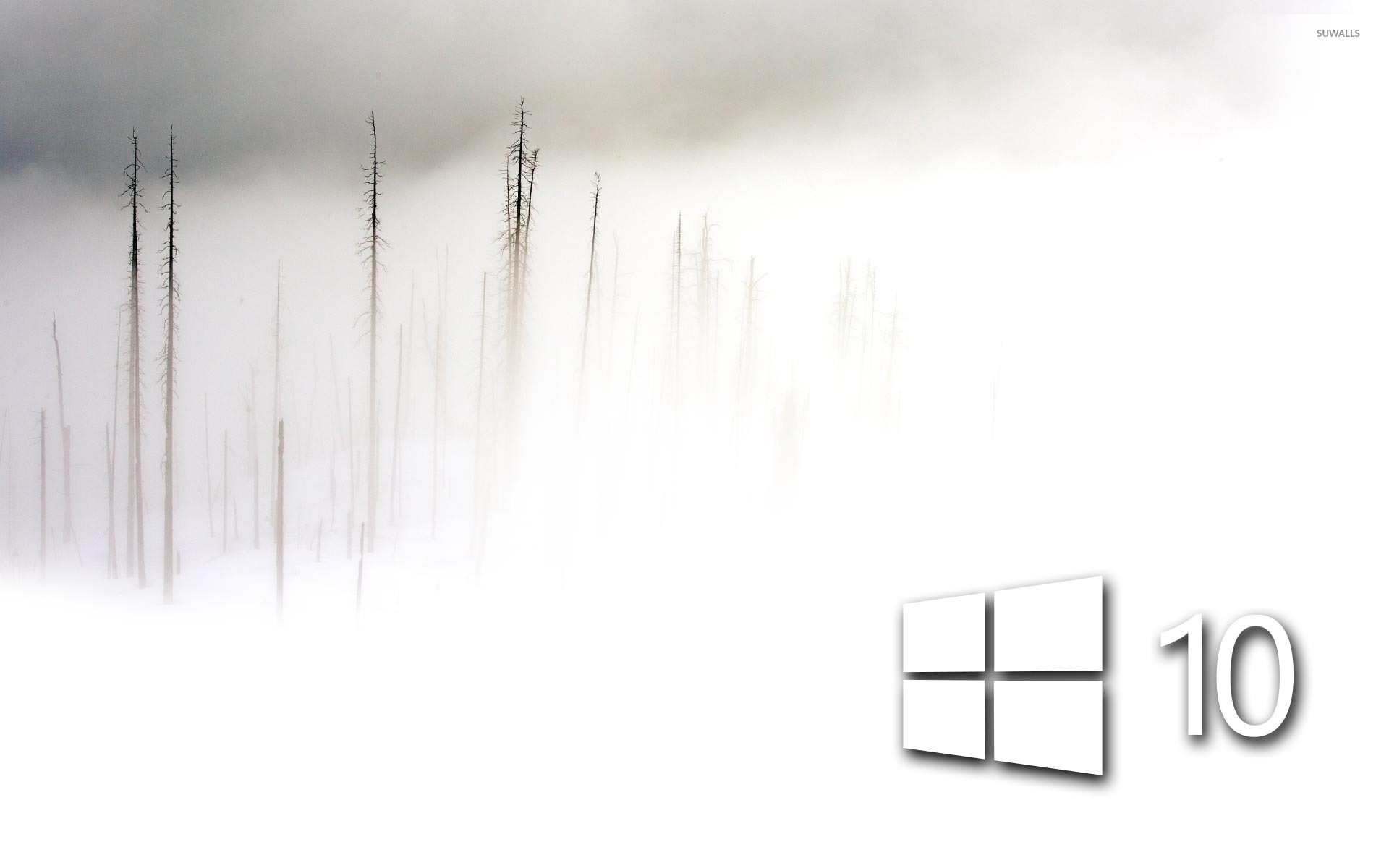 Windows In The Foggy Winter Day Simple White Logo Wallpaper