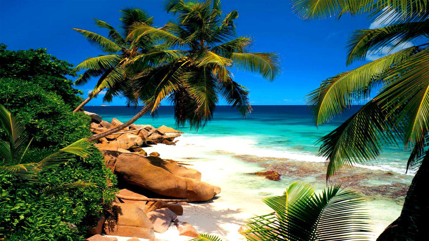 Seychelles Beach Wallpaper HD