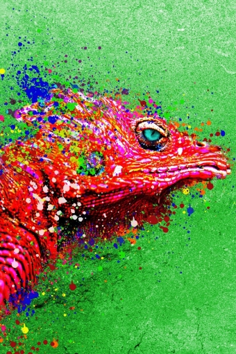 Lizard King iPhone HD Wallpaper