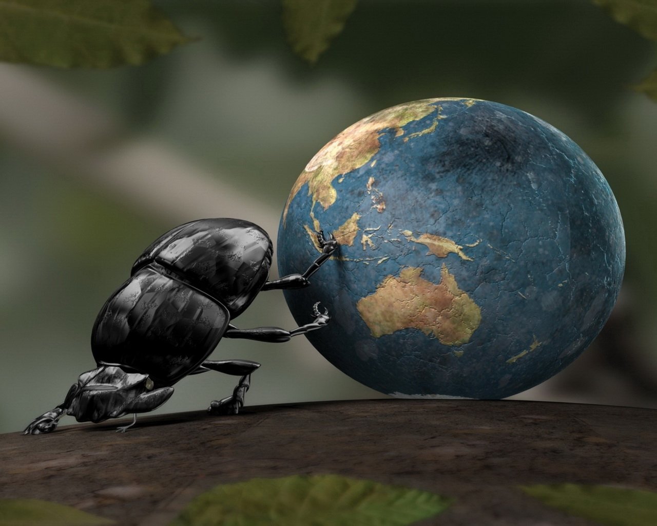 Bug Beetle Desktop wallpapers 1280x1024