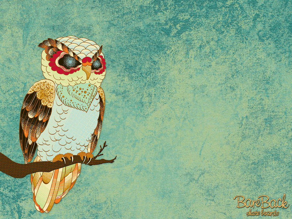 Cute Owl Desktop Wallpaper Laptop