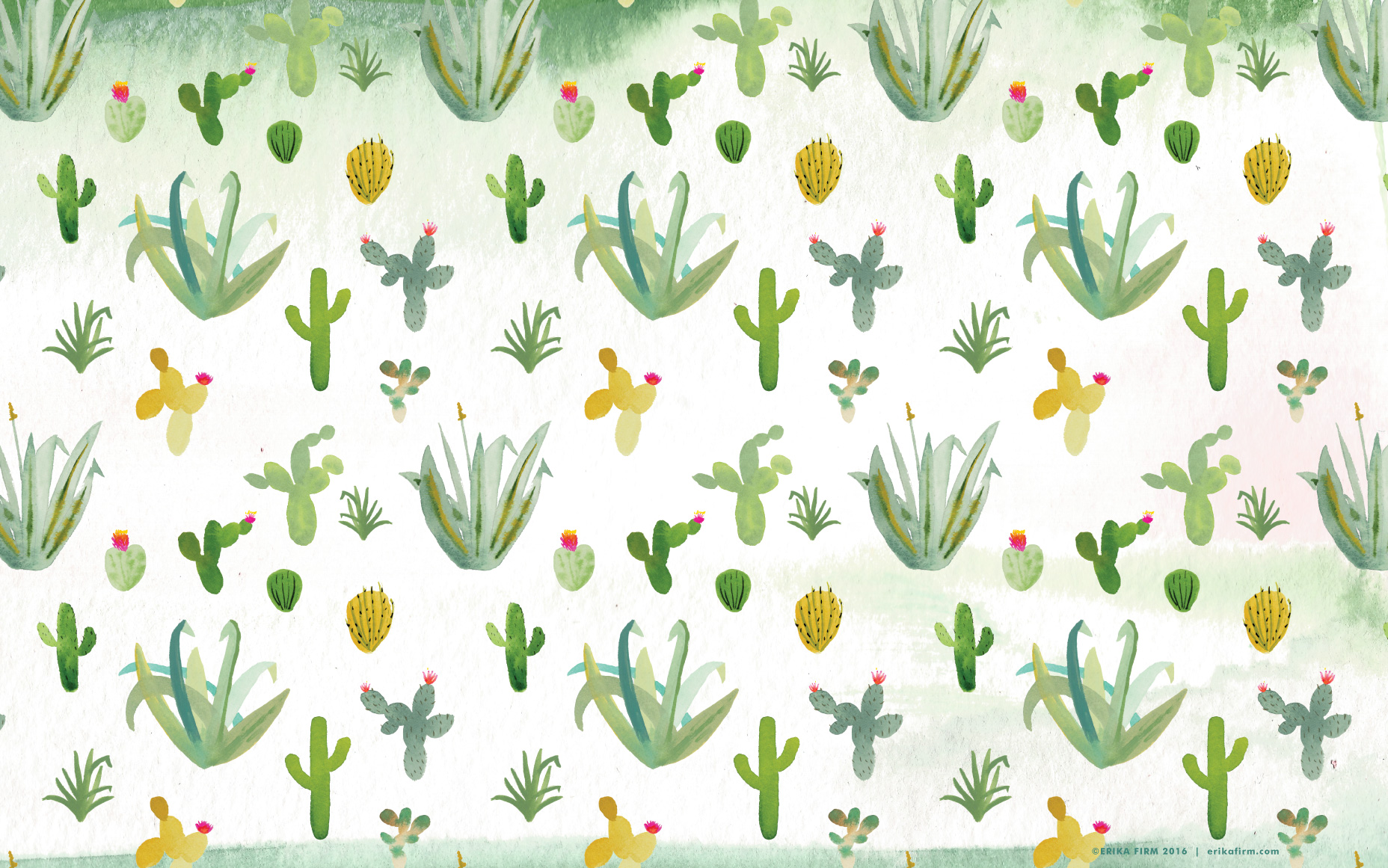Cutesy Cacti Computer Background Cute Cactus HD wallpaper  Pxfuel