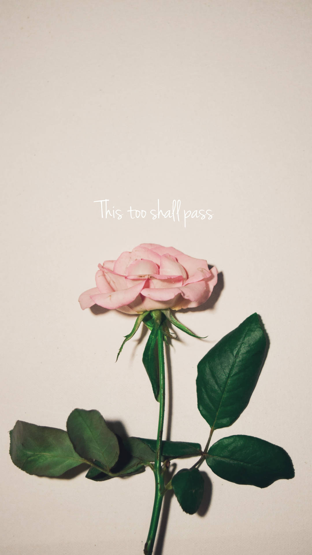 Small Quotes Wallpaper