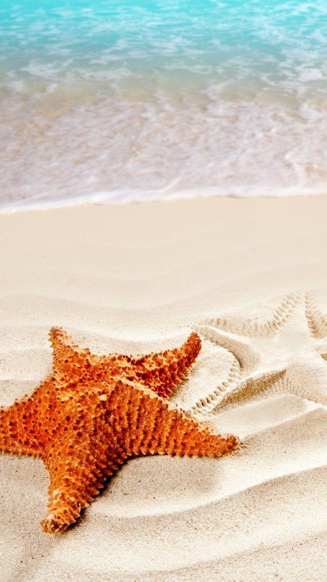 Sea Wallpaper Os Android Ocean Starfish Shore Best
