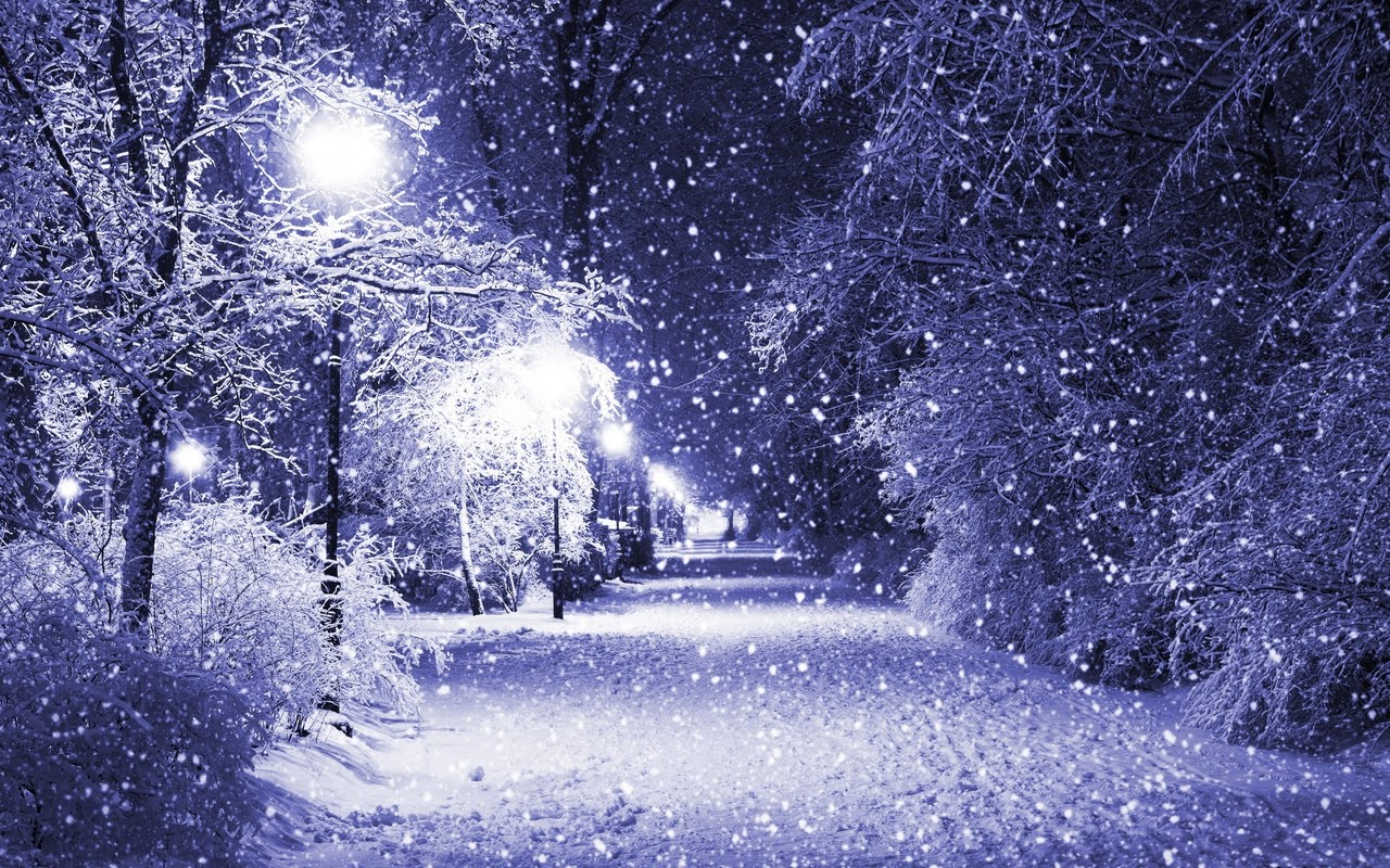 Amazing Winter Night Frozen Tree In HD Wallpaper