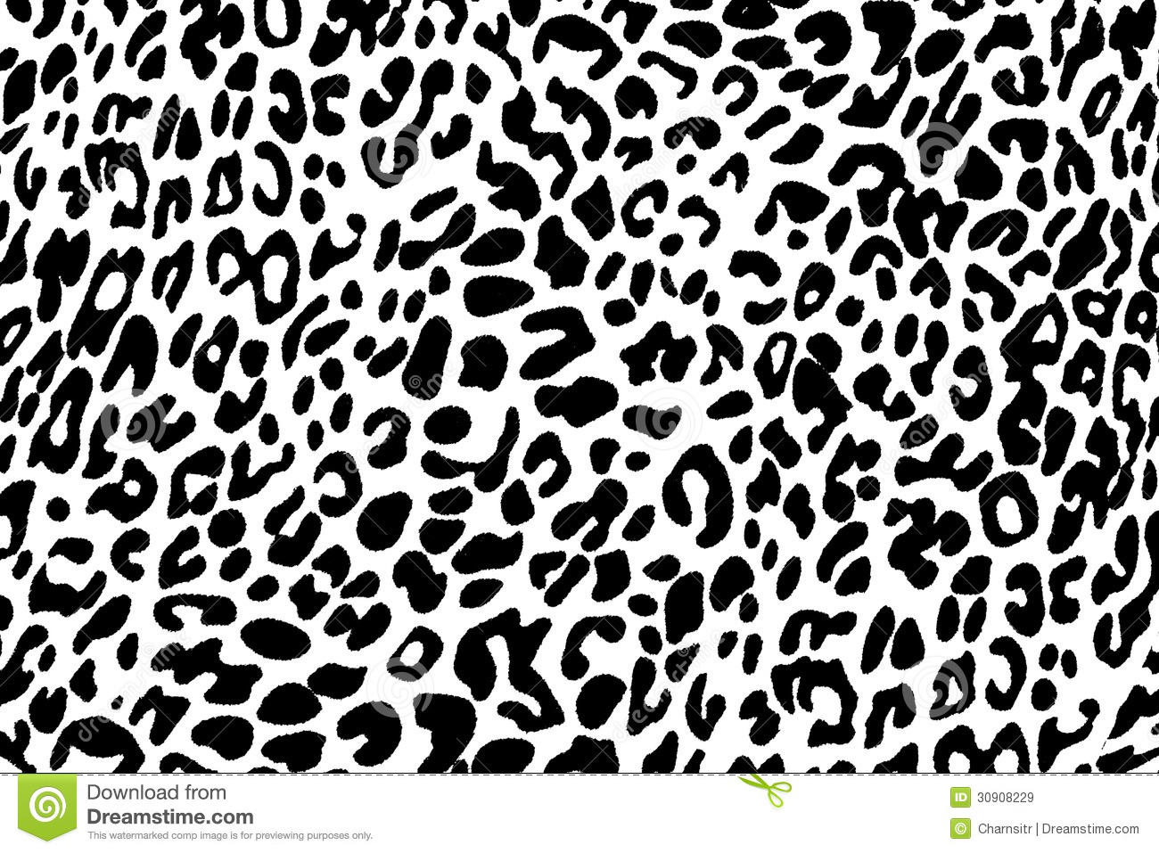 Leopard Print Black And White Cd Design With Animal