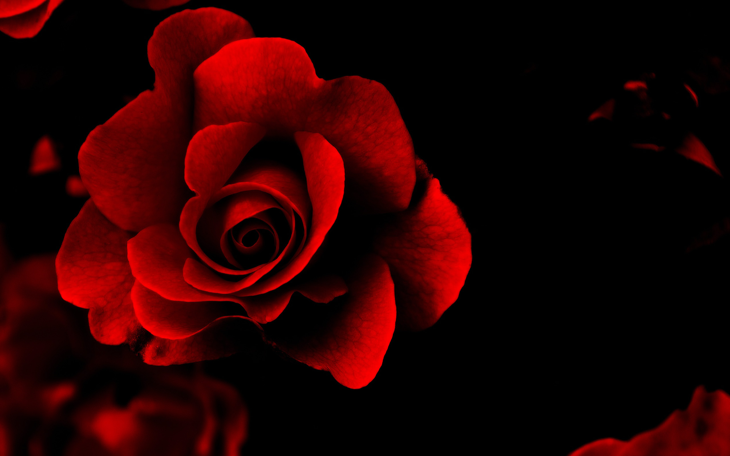 Love Wallpaper Desktop HD Walldiskpaper