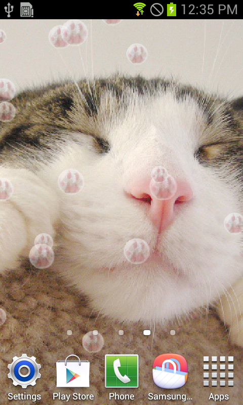Cute Cat Live Wallpaper Screenshot Thumbnail