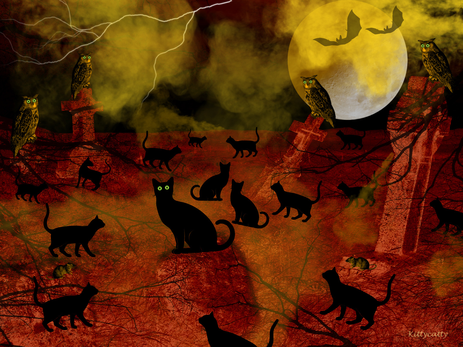 Halloween Night Cat Meeting Wallpaper