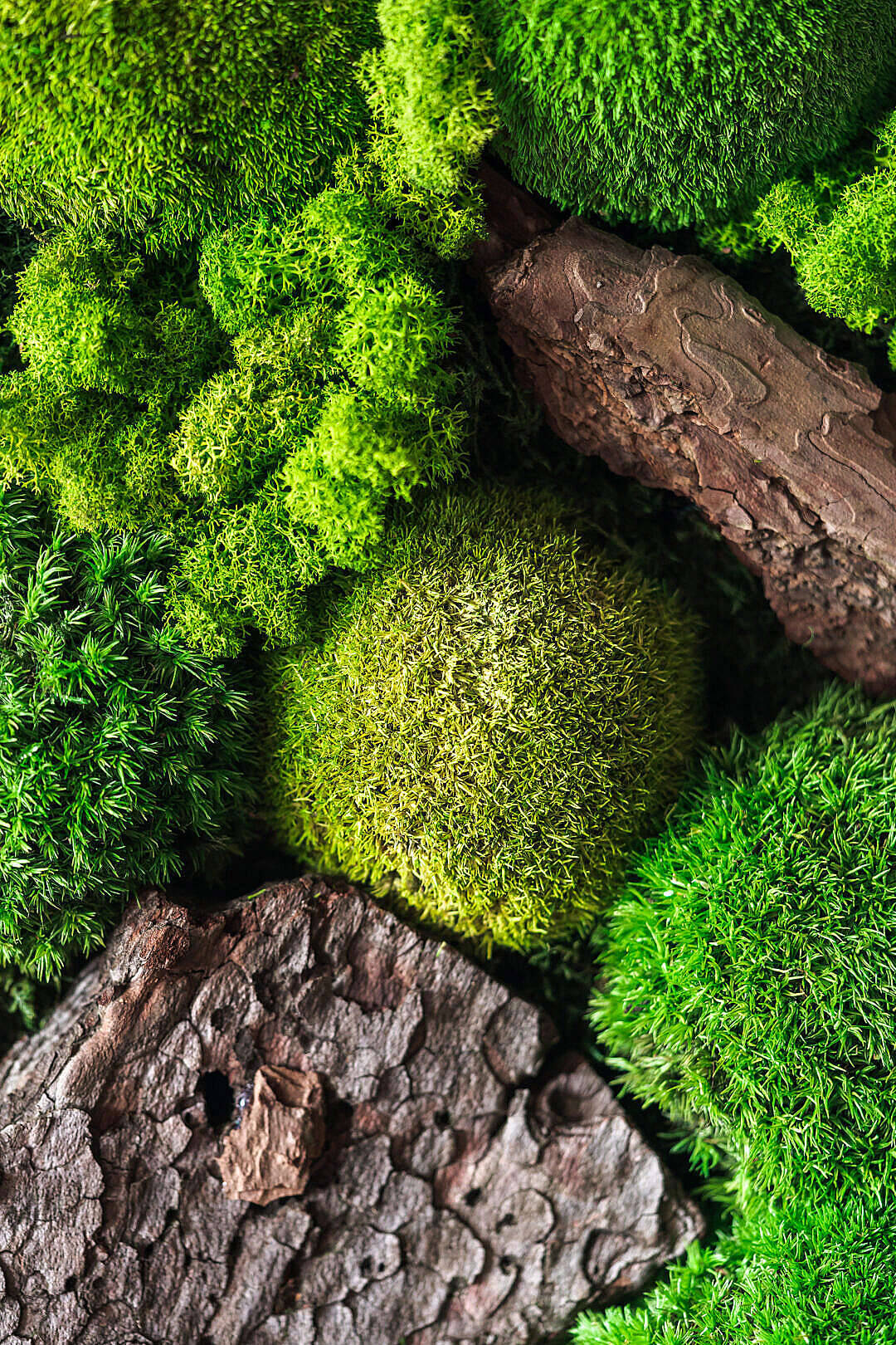 Full Screen HD Wallpaper