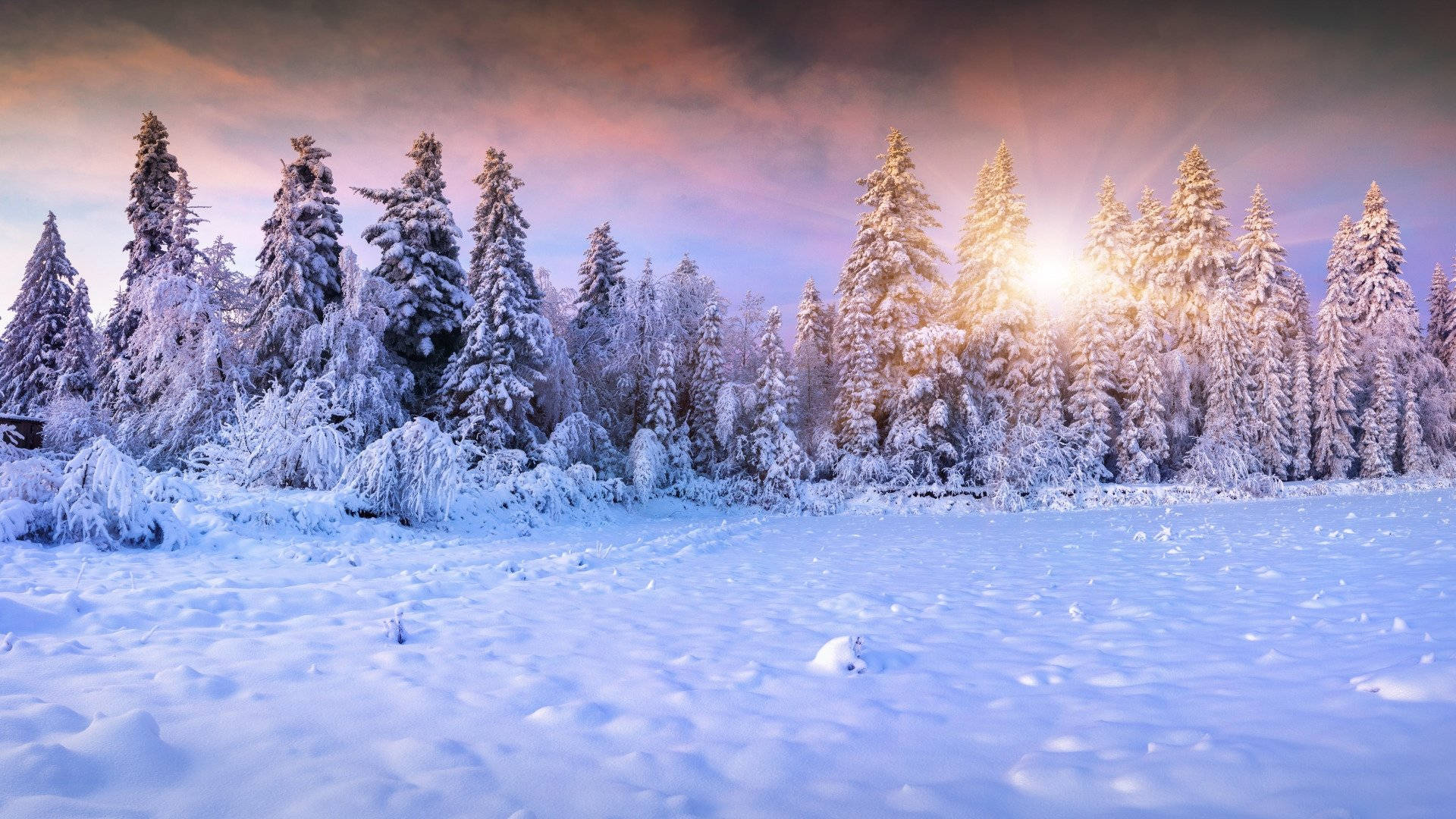 Snow Aesthetic Wallpaper