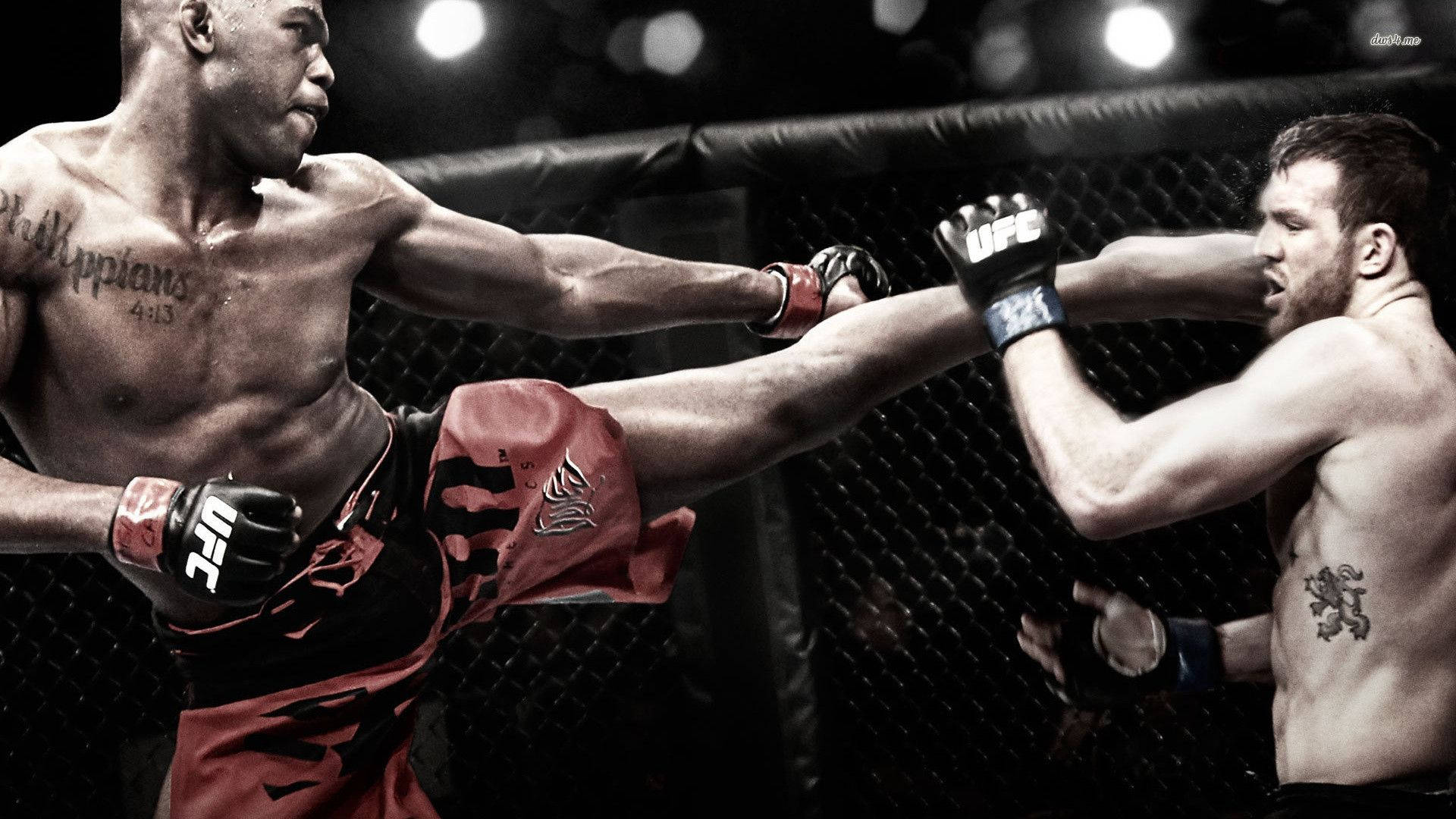 Ufc Knockout Wallpaper