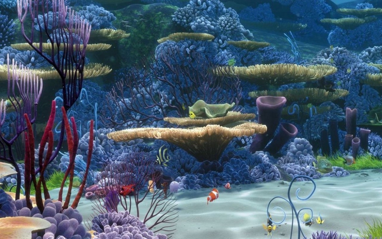 Coral Reef Desktop Background Chillcover Underwater
