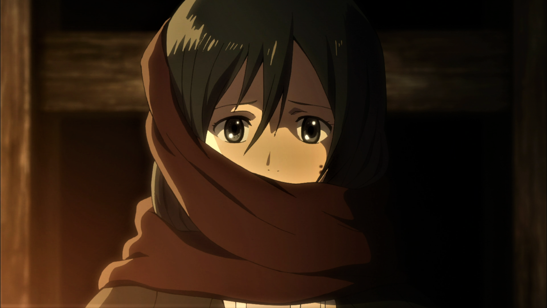 Mikasa Ackerman Wallpaper