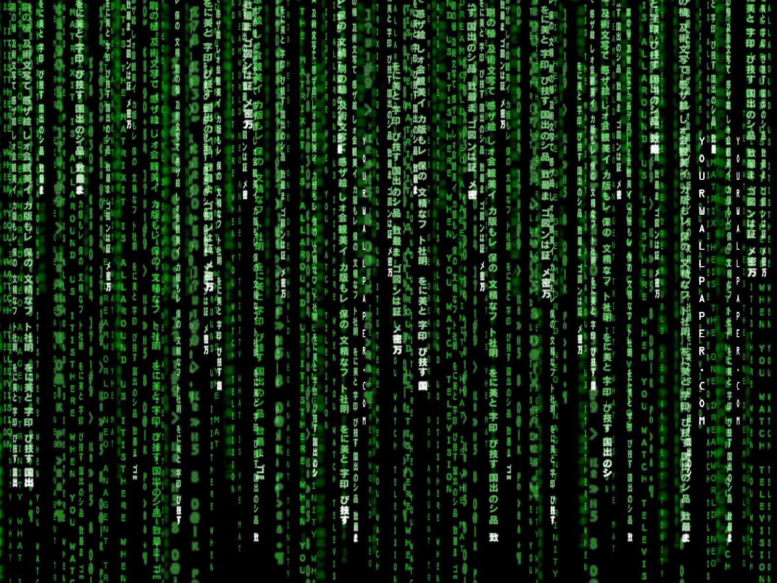 The Matrix HD Wallpaper