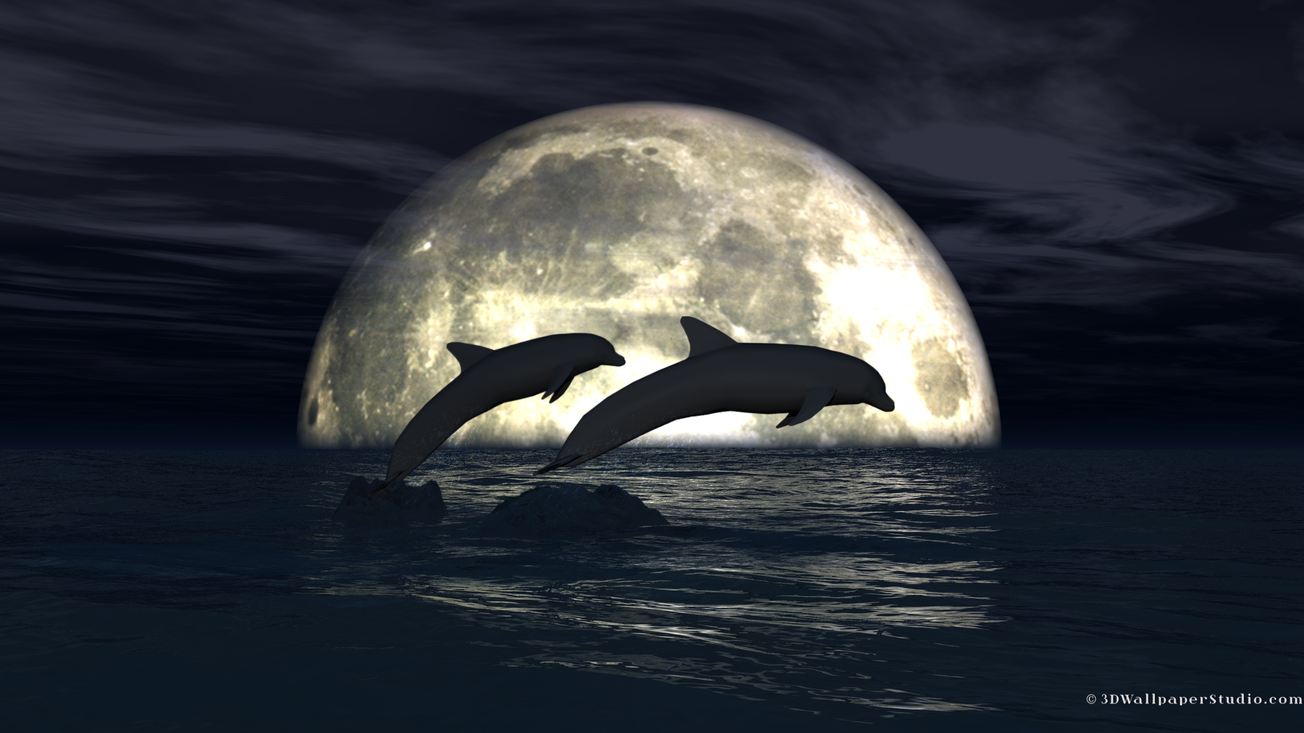 Moonlight Dolphins Wallpaper In Screen Resolution