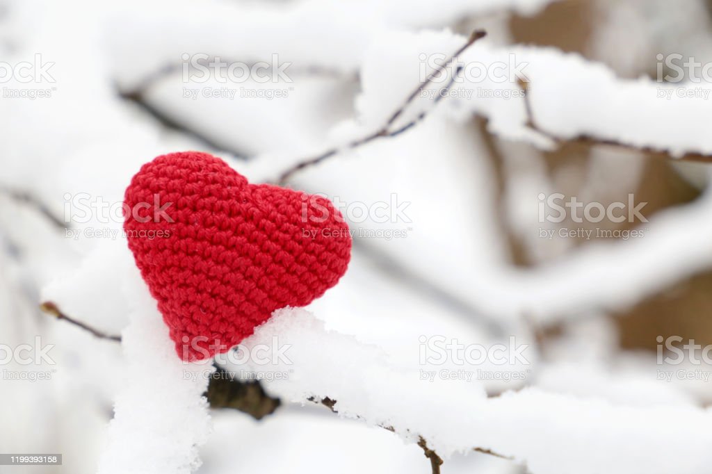 Valentine Heart In Winter Forest Stock Photo Image Now
