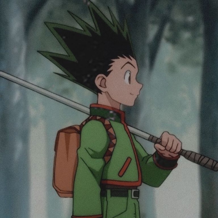 Hunterxhunter Pfp Wallpaper