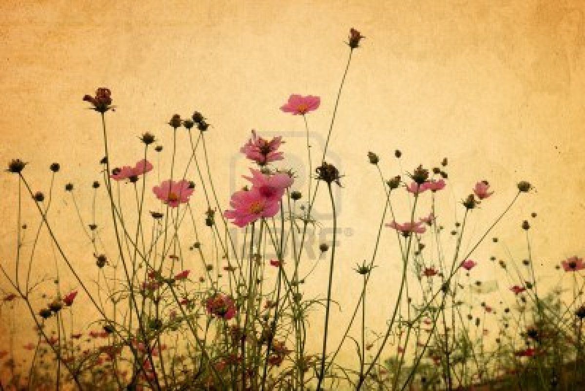 Vintage Wildflowers Wallpaper