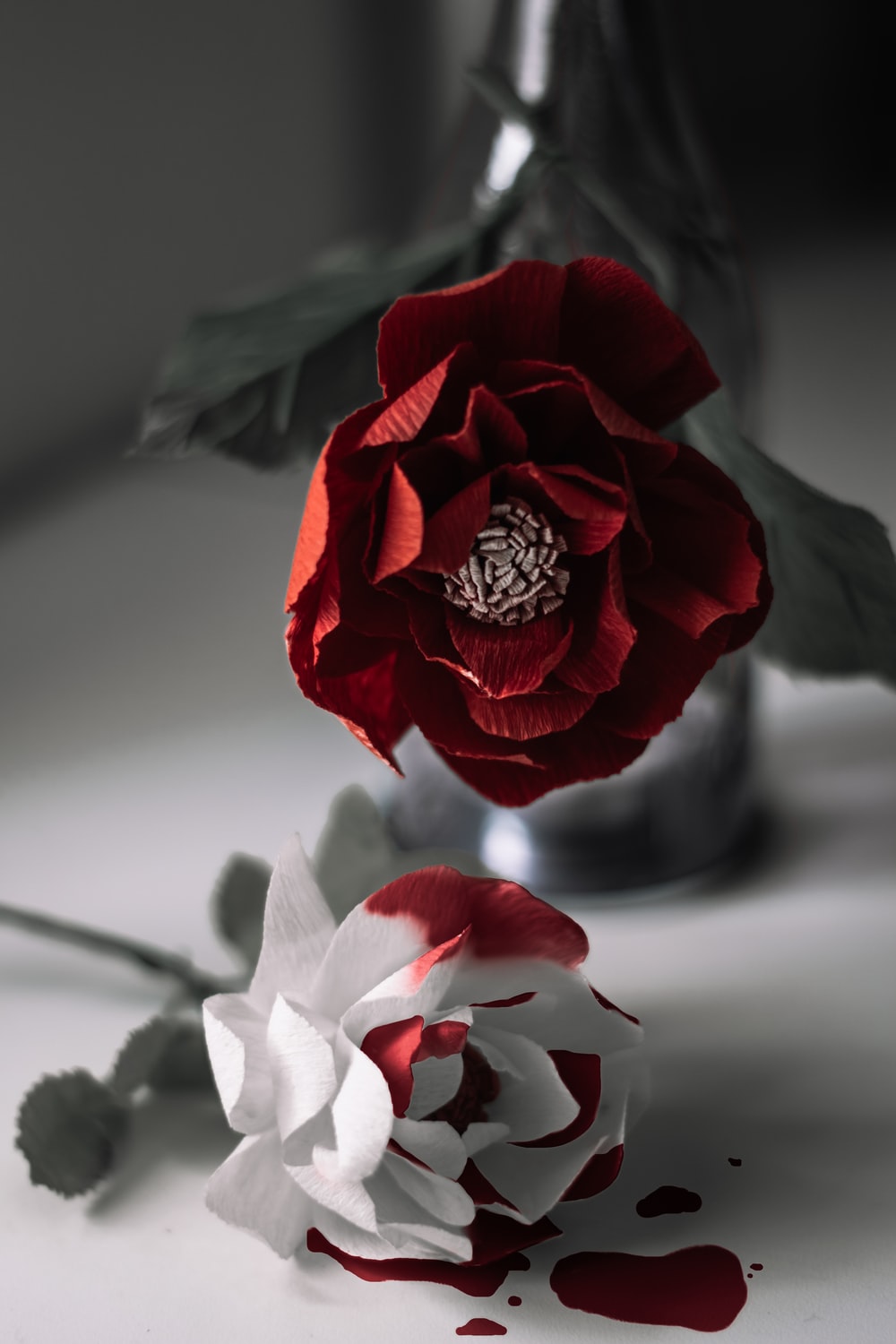 Red Rose In Gray Scale Photo Image
