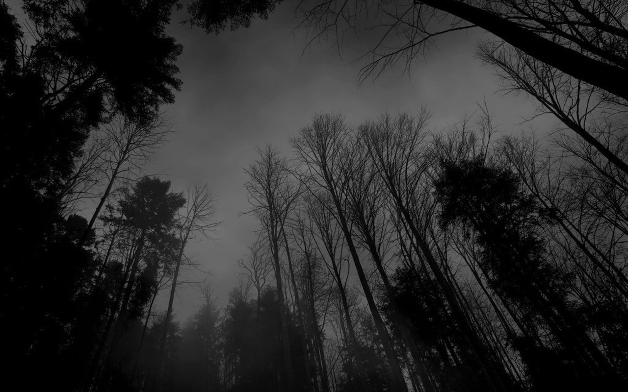 Black And White Pictures Anime Forest Desktop