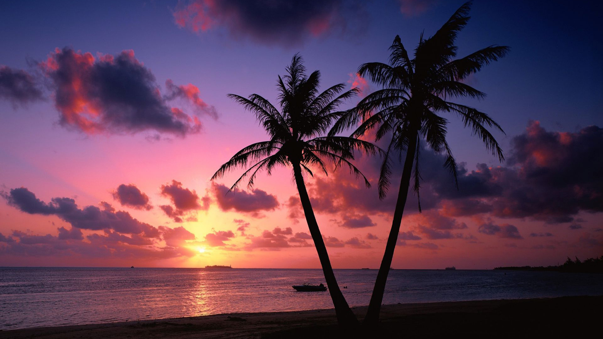 Tropical sunset Widescreen Wallpaper   2968