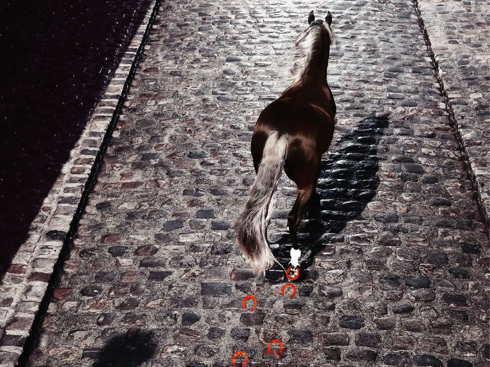 Horse Walking With Horseshoe Prints Wallpaper