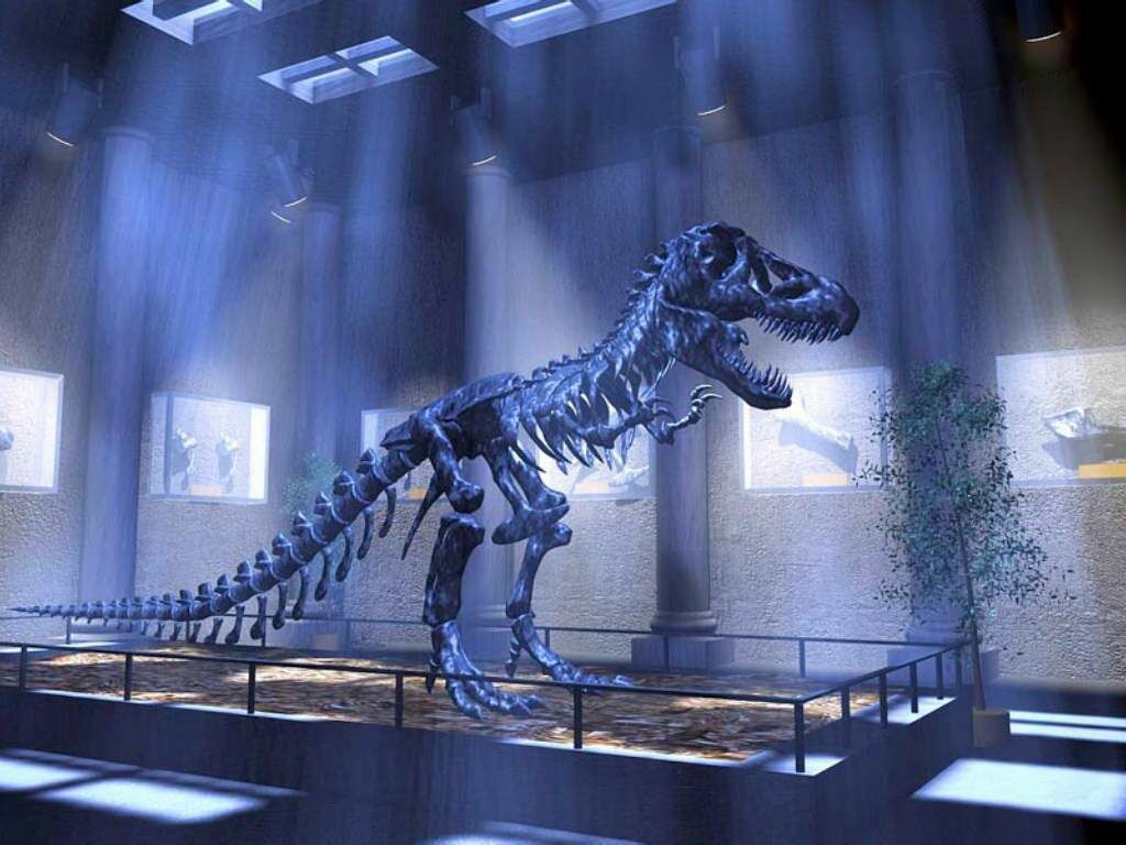 Rex Skeleton Carnivore Dinosaurs Wallpaper Image