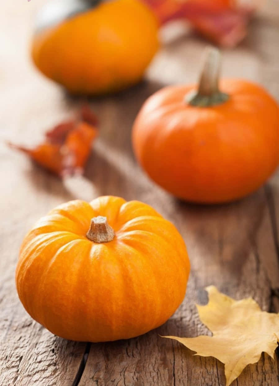 Cute Pumpkin On Wooden Table Picture Wallpaper