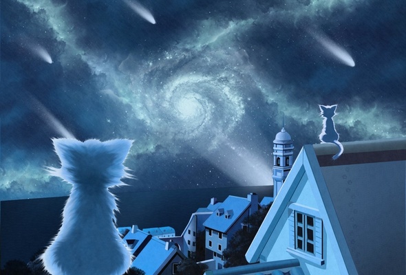 Wallpaper Cat Roof Night Galaxy Meteor Desktop Anime