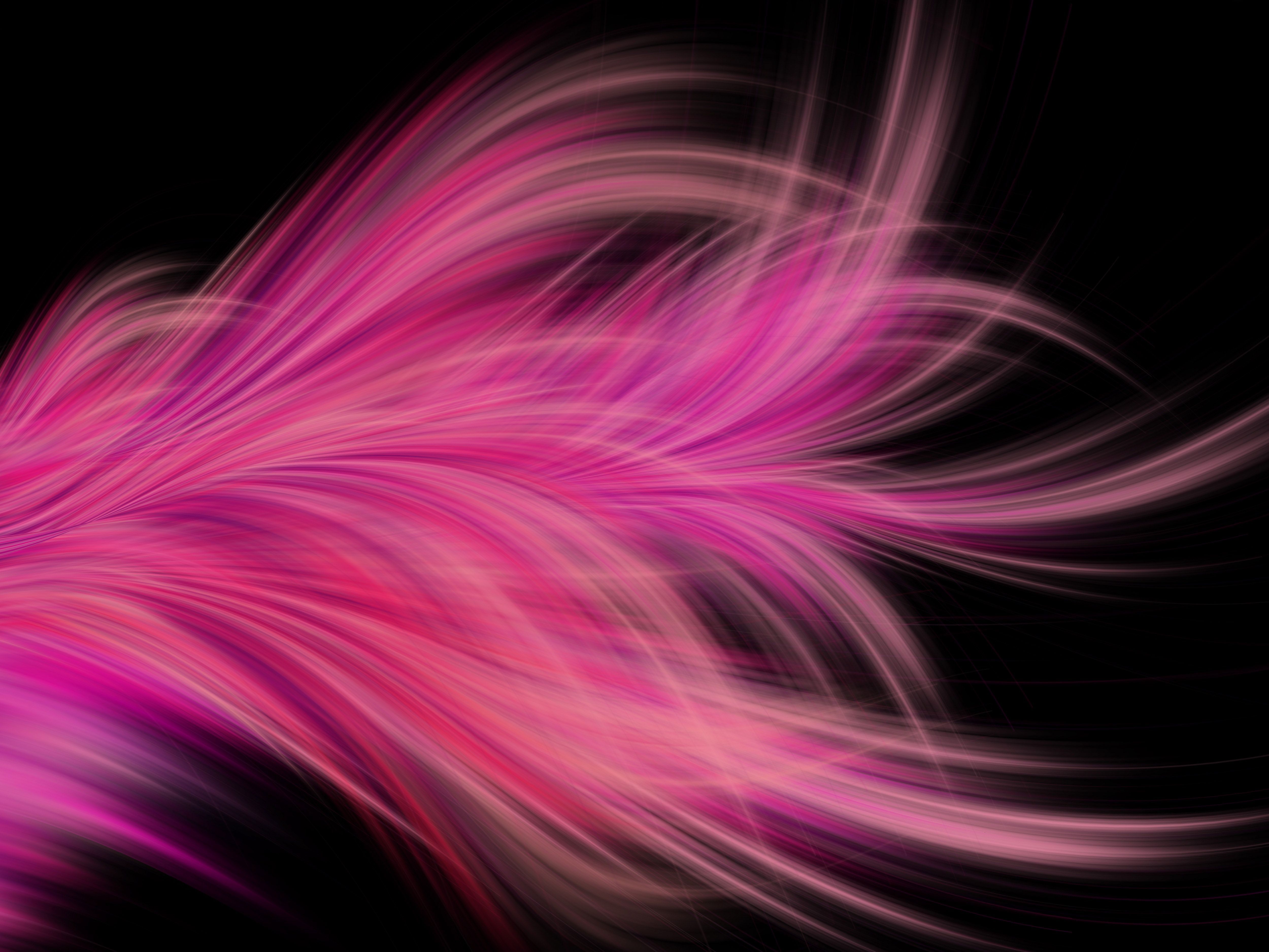 Pink Fractal Abstract Feather Wide 5k Wallpaper And