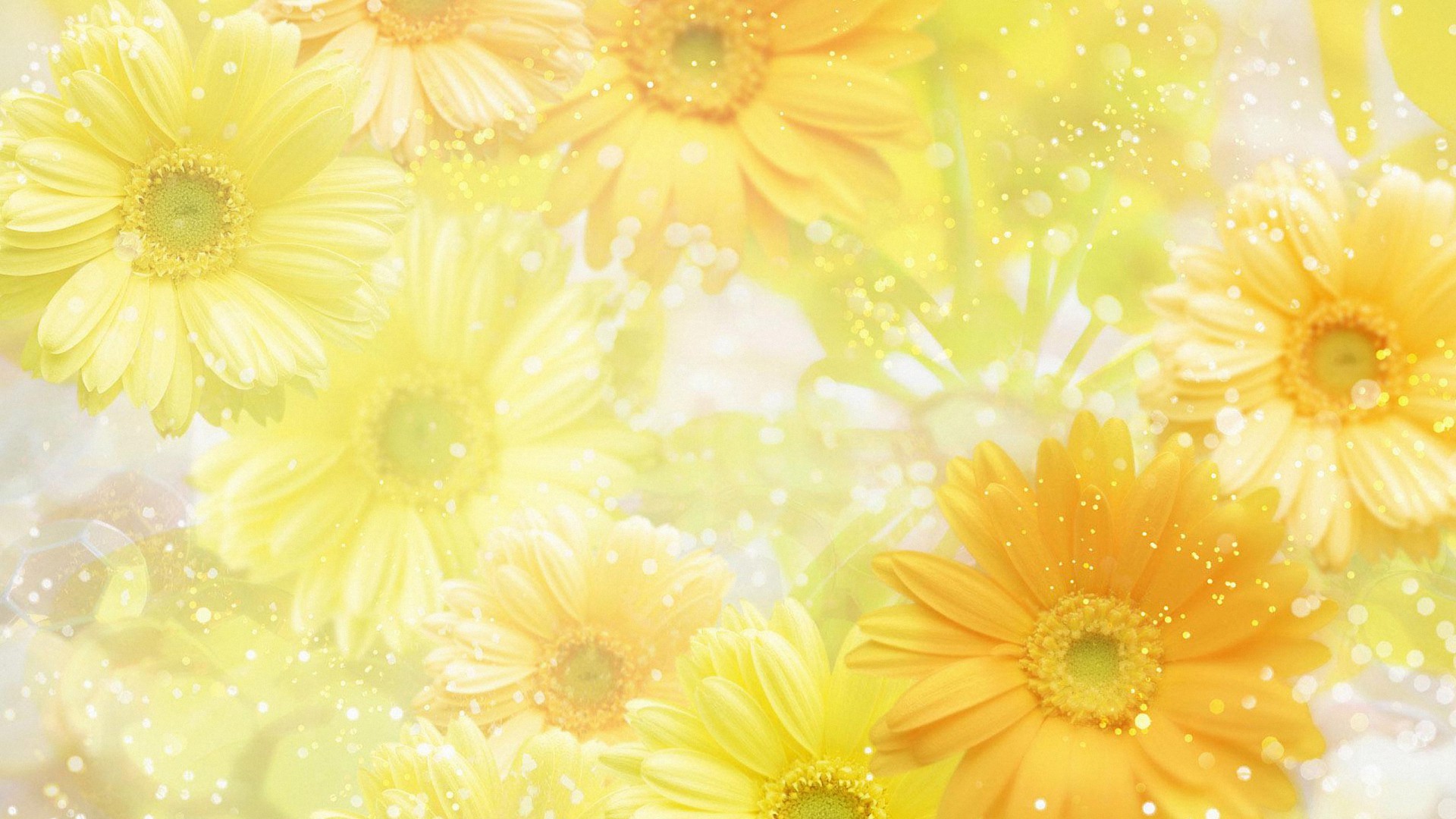 Neon Yellow Background Wallpaper
