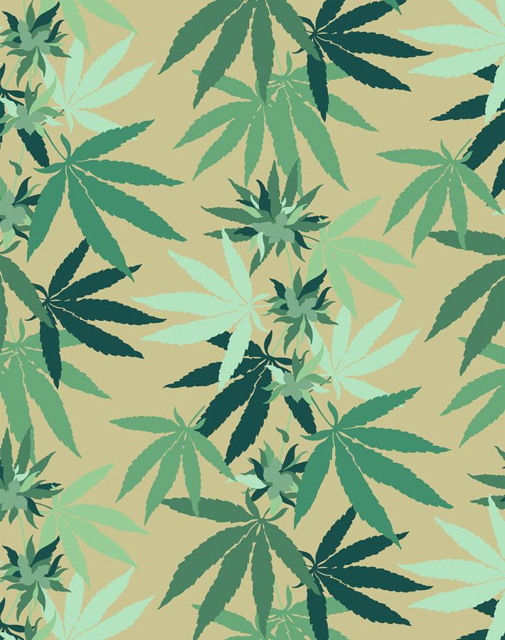 Cannabis Wallpaper Bamboo Wallshoppe