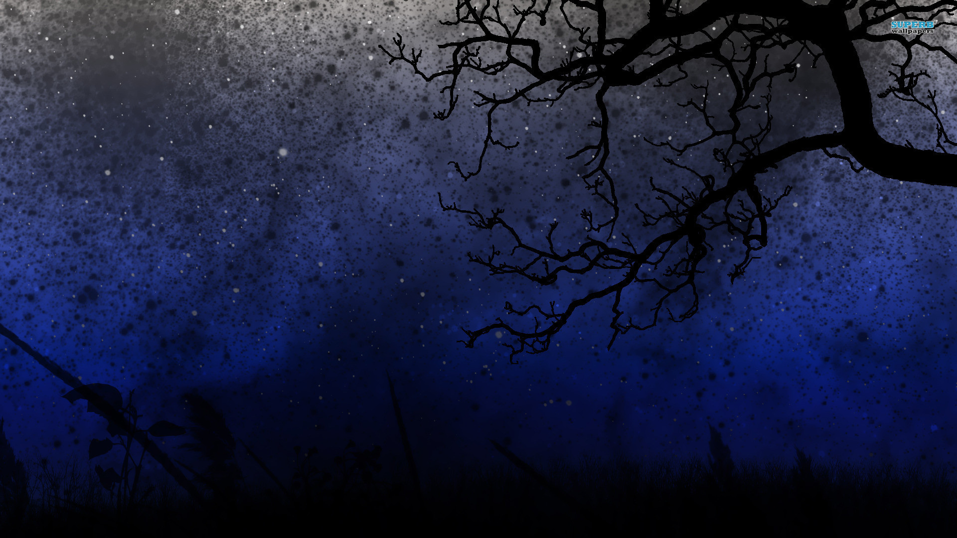 Starry Night Tardis Desktop Background