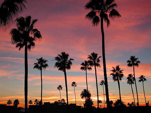 California Tumblr Wallpaper Long beach california sunset 500x375