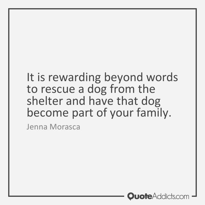 Shelter Dog Quotes Quote Addicts