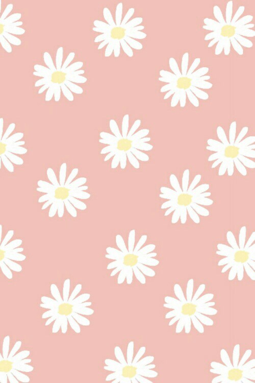 Cute Daisy iPhone Background   image 2167460 by Maria D on Favimcom