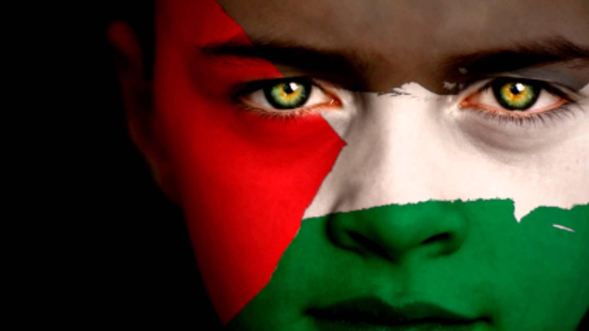 Passionate Supporter With Painted Palestine Flag On Face
