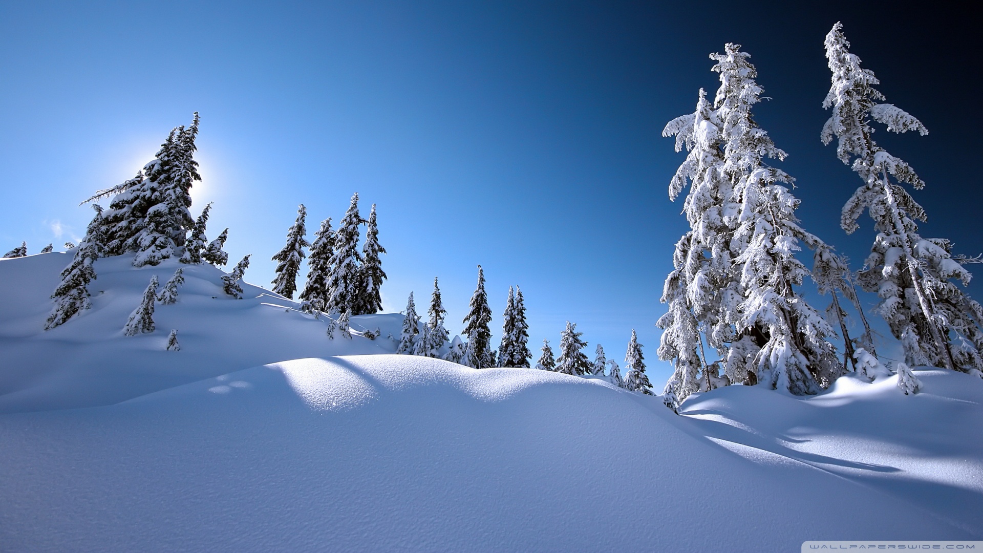 Beautiful Winter Scenery Wallpaper