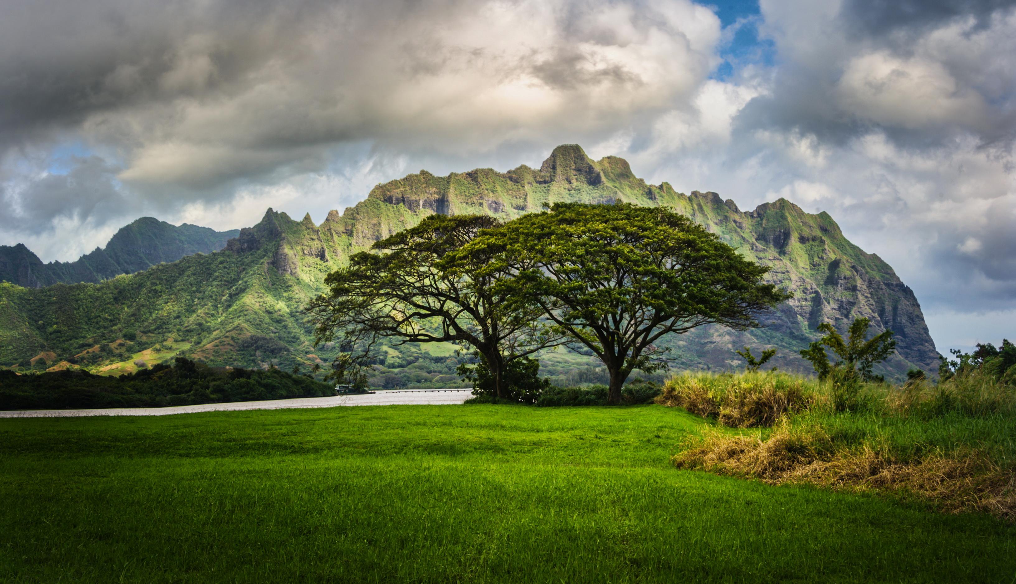 Scenery Mountains Oahu Hawaii Grass Clouds Nature Wallpaper
