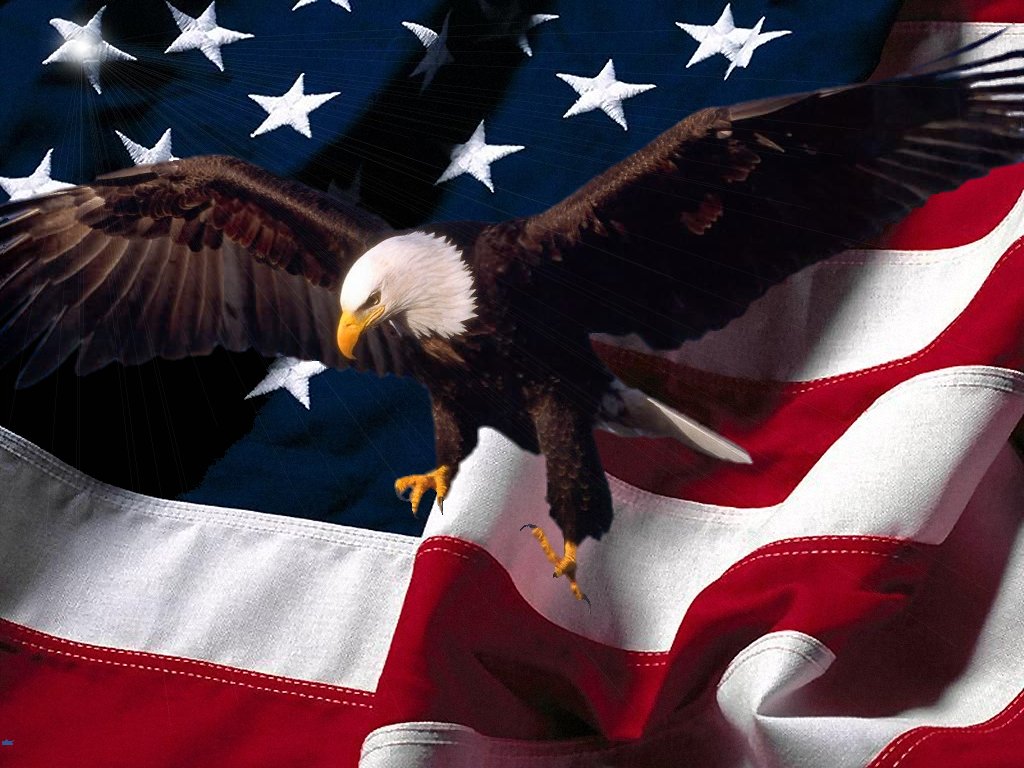 Pictures Bald Eagle With American Flag Wallpaper