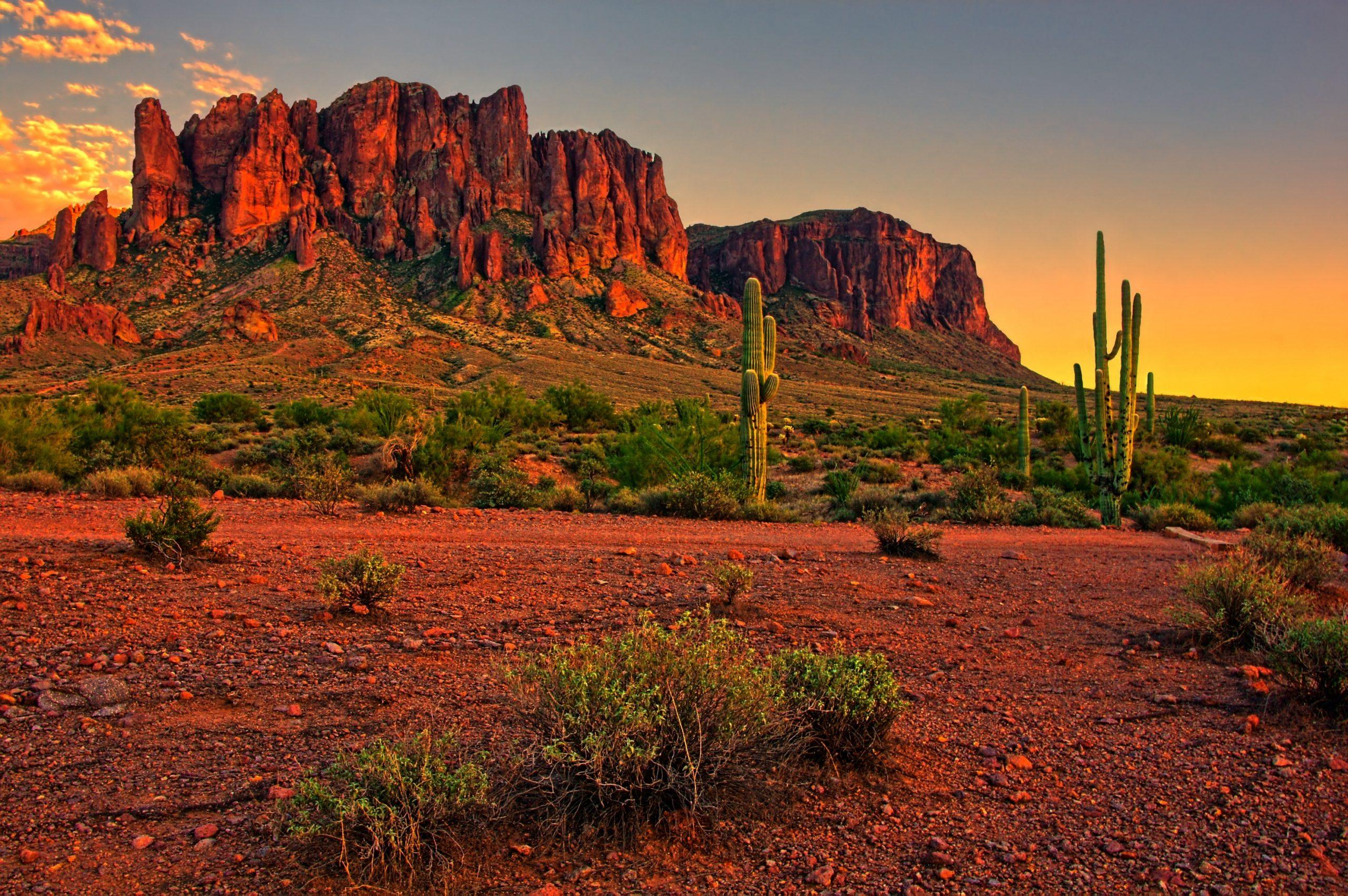Desert sunset with mountain near Phoenix Arizona USA   Custom