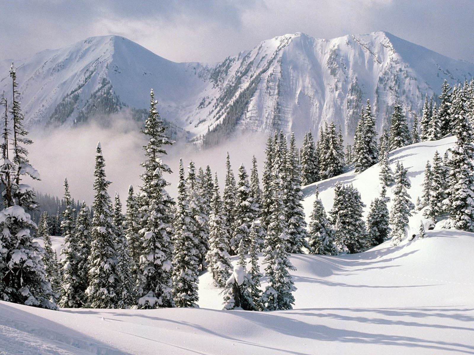 A picturesque winter landscape with snow-covered mountains and evergreen trees
