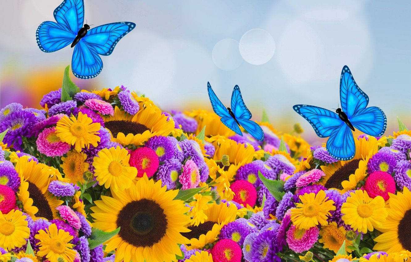 Sunflower And Roses Wallpaper