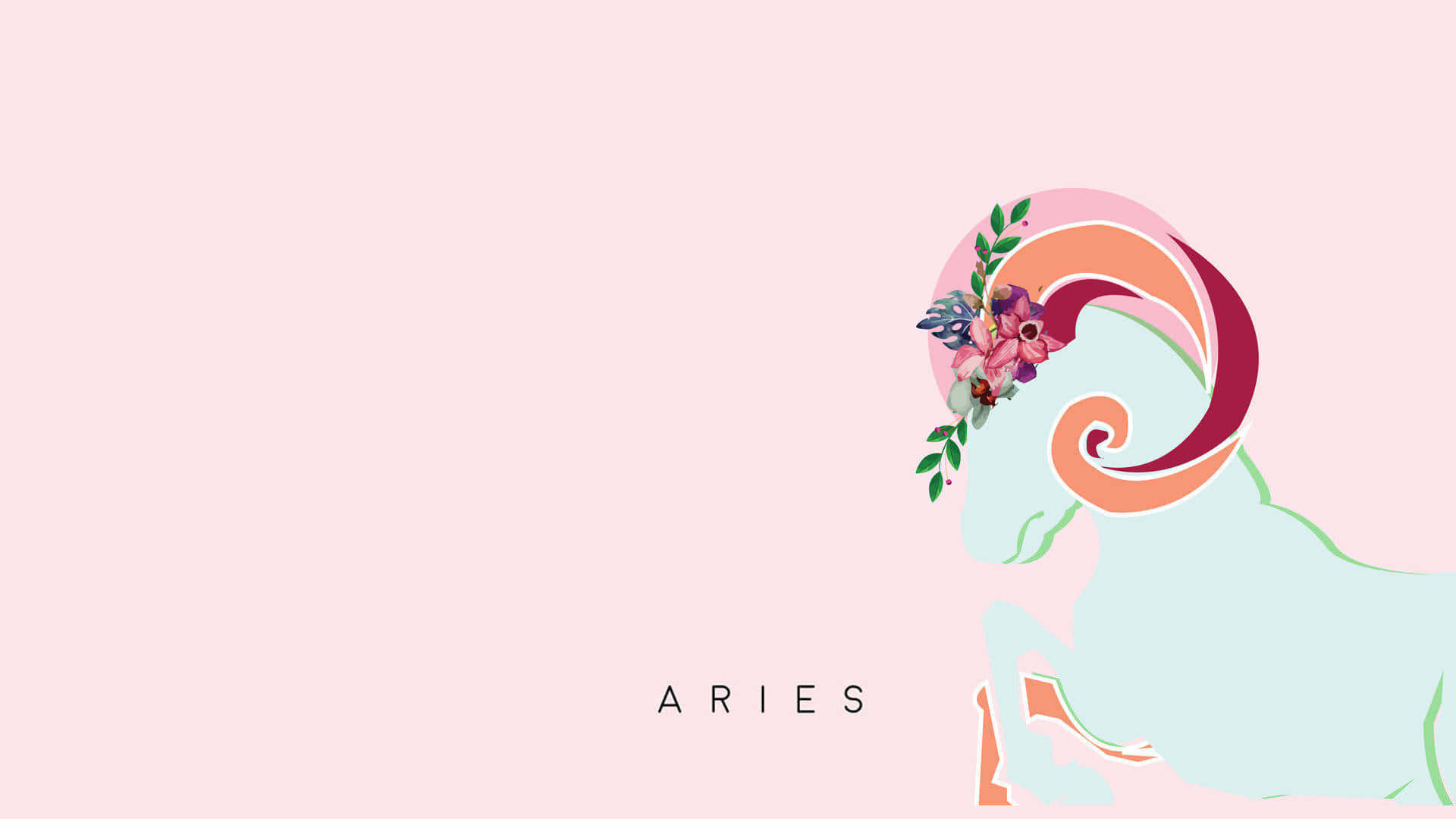 Aesthetic Astrology Wallpaper