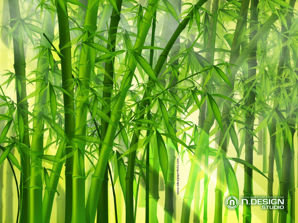 Bamboo Wallpaper Patterns