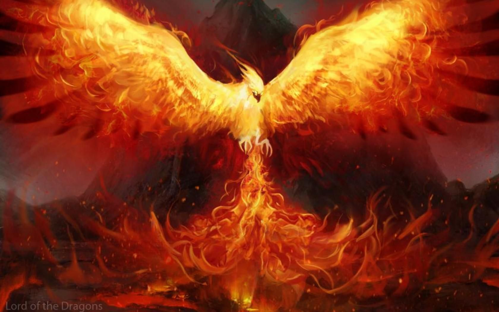 Rise Of The Phoenix Wallpaper For