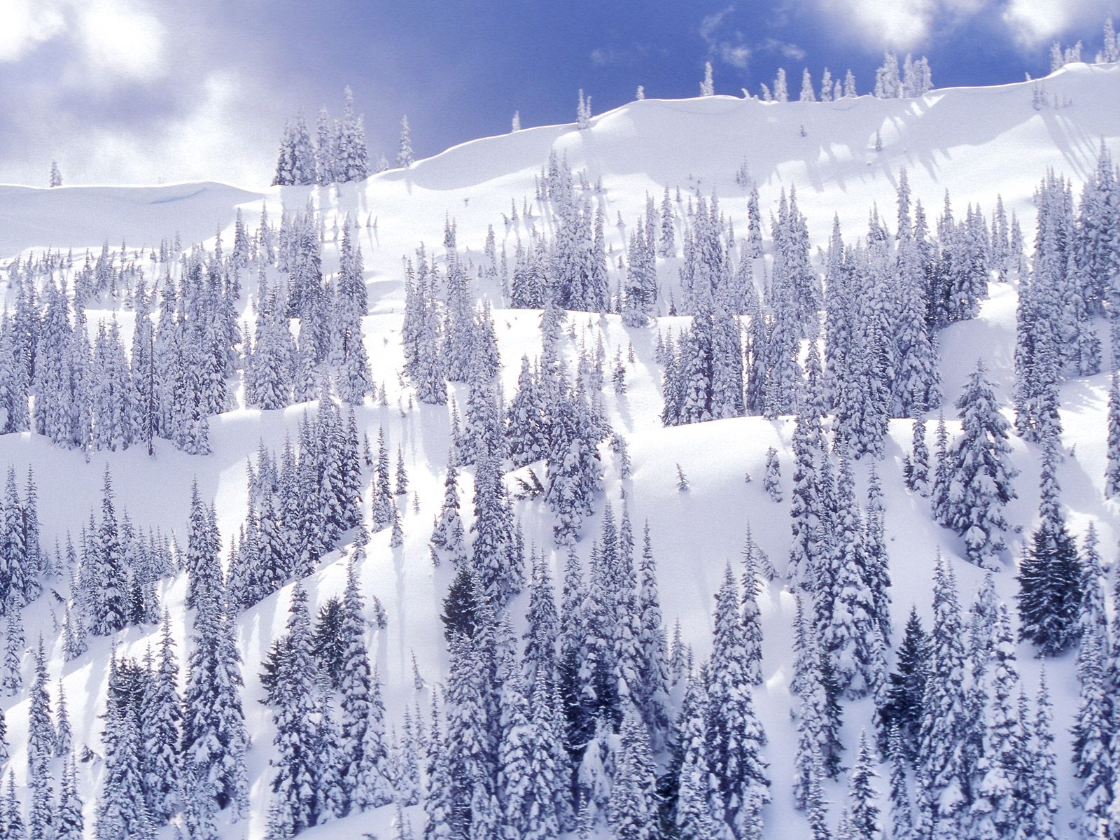 Winter Landscape Desktop Wallpaper On Latoro